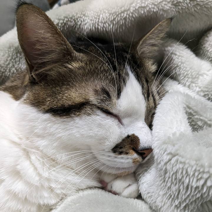 13214827 de85 405c b496 b7a2e460f839 1701261087631