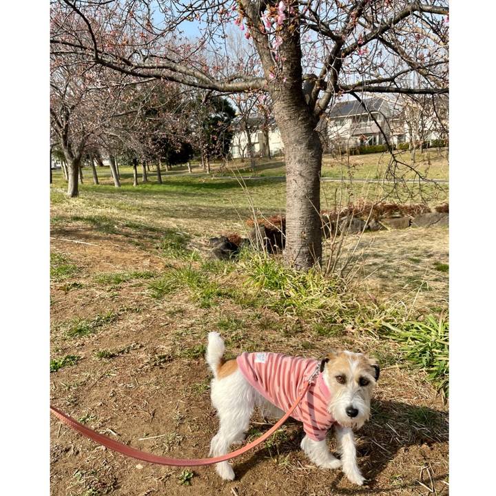 13214bbc 572a 451f b87f ba413bc3b4b0 1646985747144