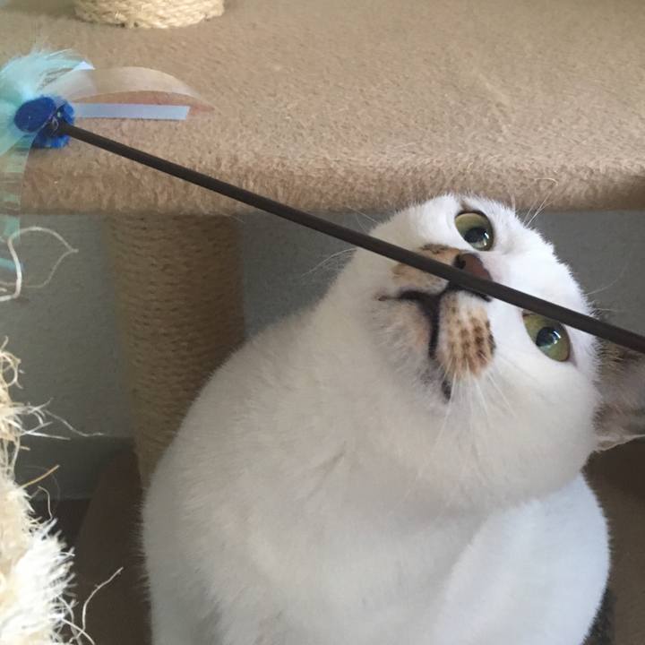 13219dba 7829 4a9a 818c 938304cf95f7 1553155830837