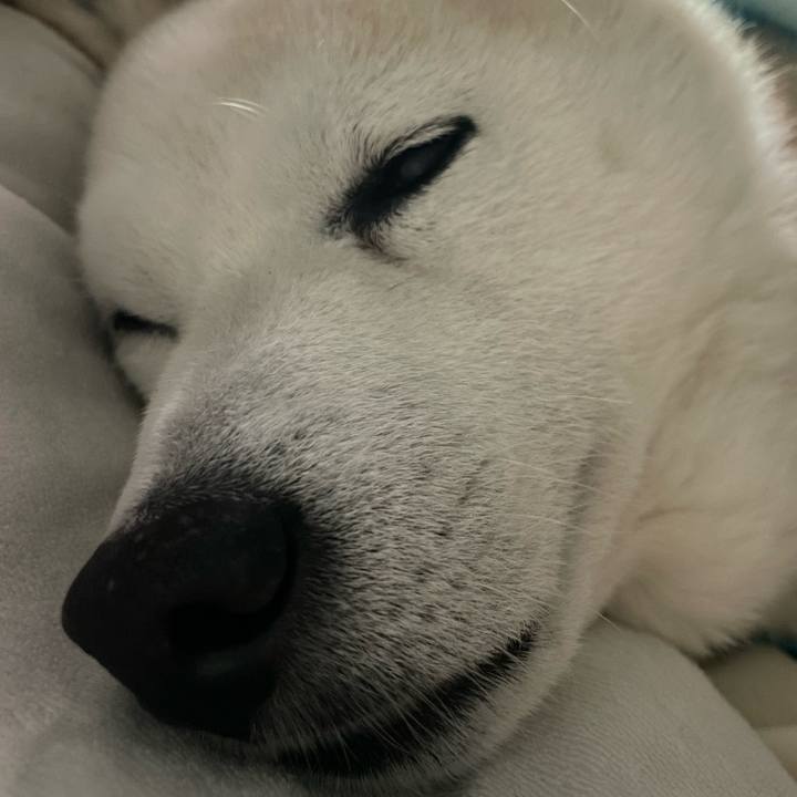 1321a479 1068 4b0b b587 4da7cb0afd71 1673267061366