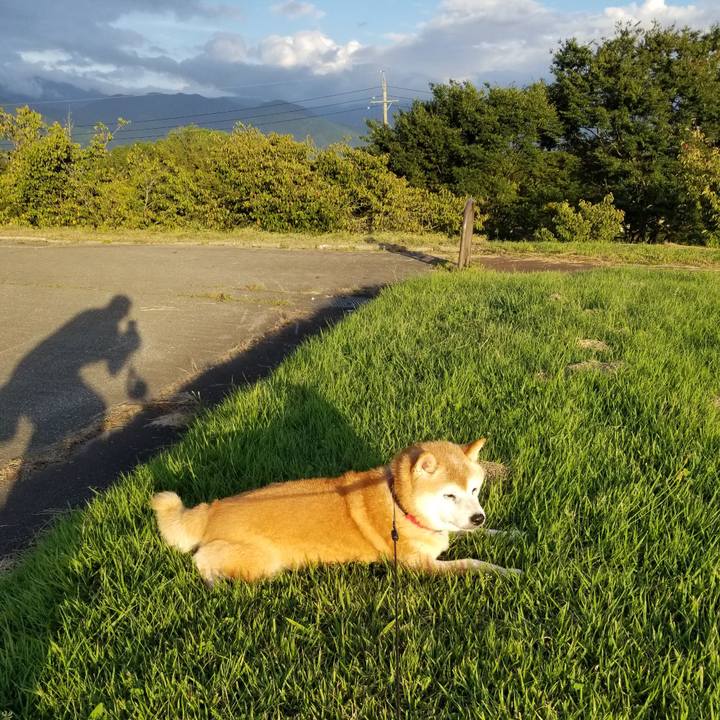 1321accf 6ae9 4328 b5d4 c4f8ae6dab18 1726819167883