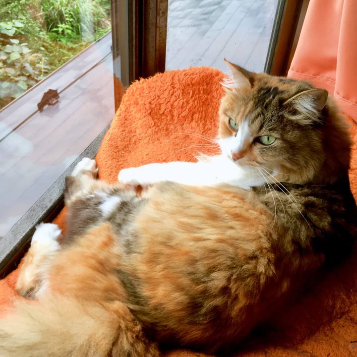 1321be14 4c2d 4f57 8c98 49537cc8087c 1562915267042