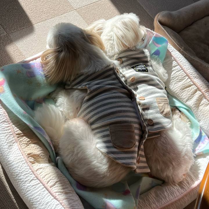 1321ca6f 1dbe 4323 9db5 3be863e1778a 1671852589699