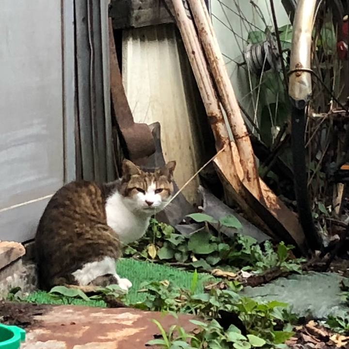 13222ae1 aaf2 4eae 9558 d99c1777d30c 1533708868861