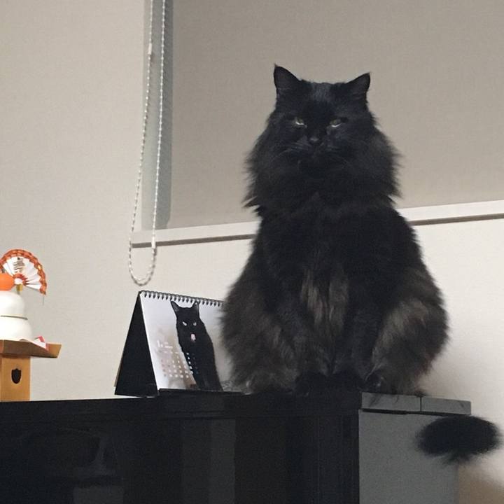 13222f16 59b5 40b0 98cd 8477b7196662 1546782601541