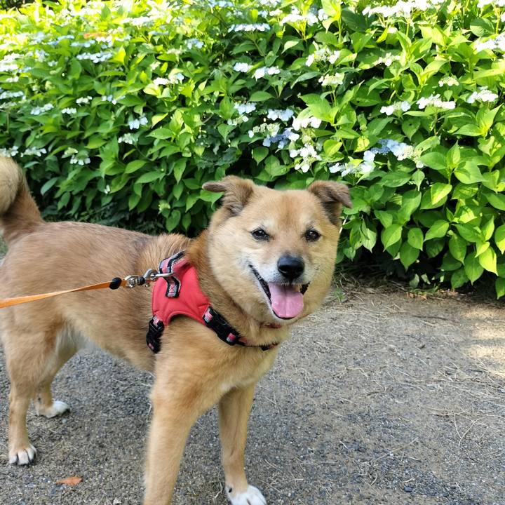 1322393c 6e16 47f6 9537 1012b2f0729f 1750326111697