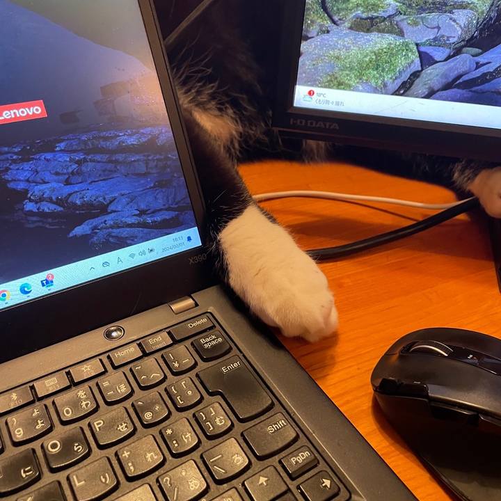 13224356 6e94 419f b97b 3550f4b7e0a8 1706782048053