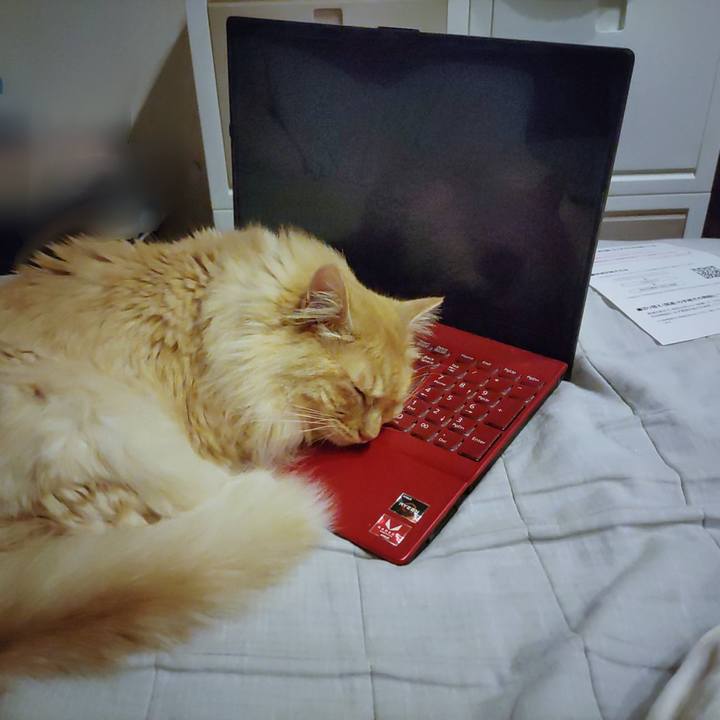 1322a57a a6b0 47aa bf37 f6265bbcb5df 1653133758625