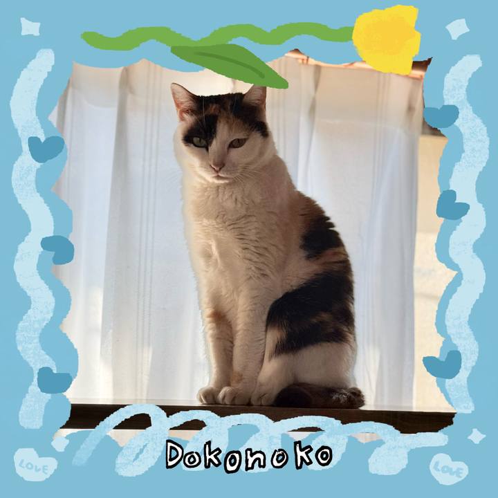 1322c1e7 5bef 4b7a a260 9434cfc833a7 1772069188853