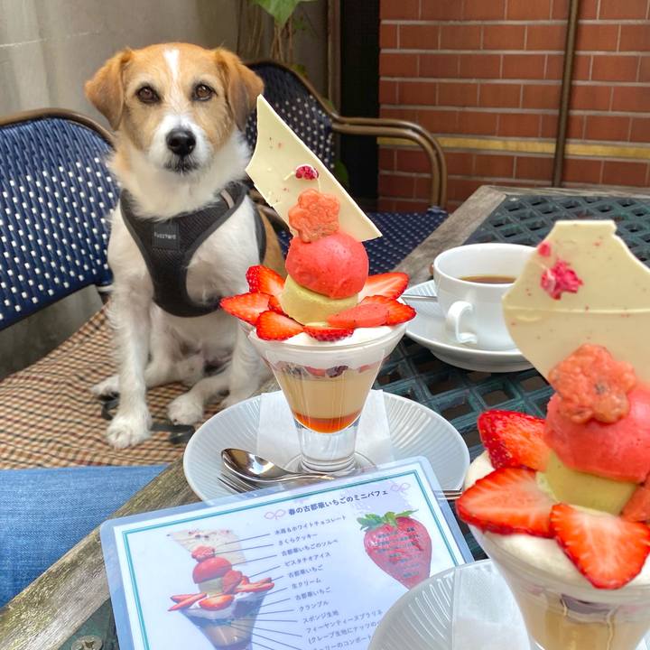 1322fef1 9cc6 4bcf a193 30968fd48f38 1647687380304