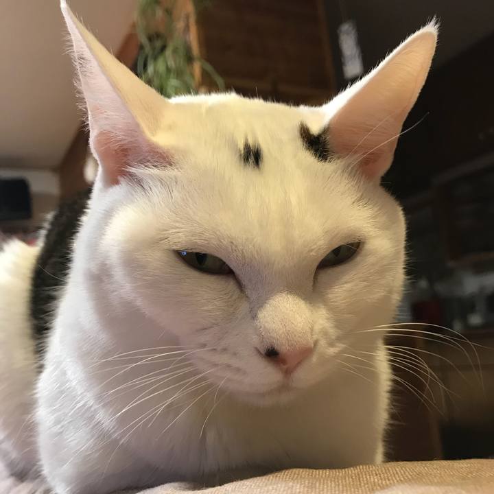 13230325 a464 4110 9661 d42e4247f817 1547472573259