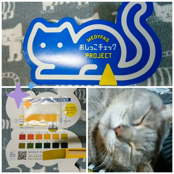 132323f9 6c4a 41ca 8d58 fff58e02edd0 1562152344208