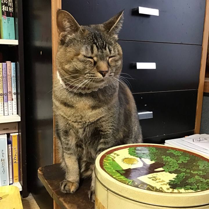 13233b34 2c85 4211 97cb 511f084ea094 1710921869307