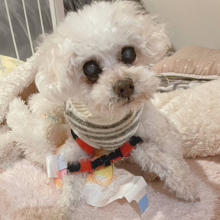 1323538c 08a7 42da 9449 f8a71781aa40 1741250250978