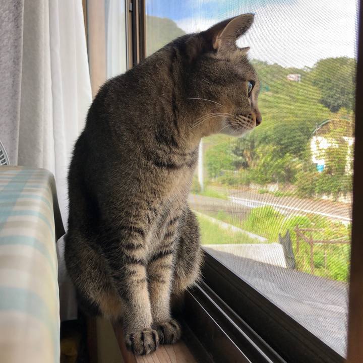 1323568d b60f 4034 9d00 c2b45930576f 1666048157872