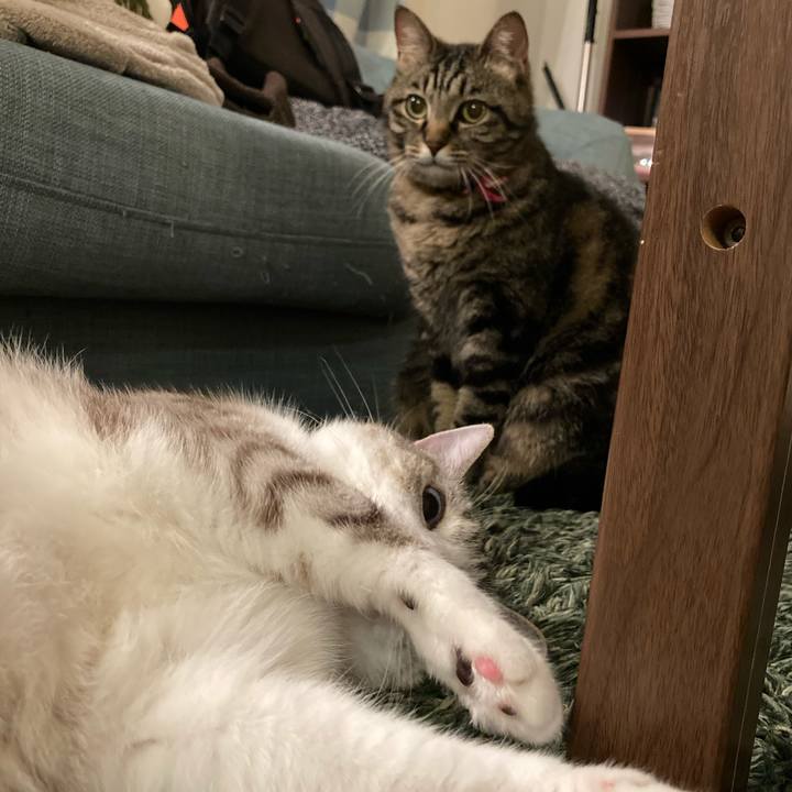 13237e21 795a 4b86 a217 7462822e718c 1624445626810