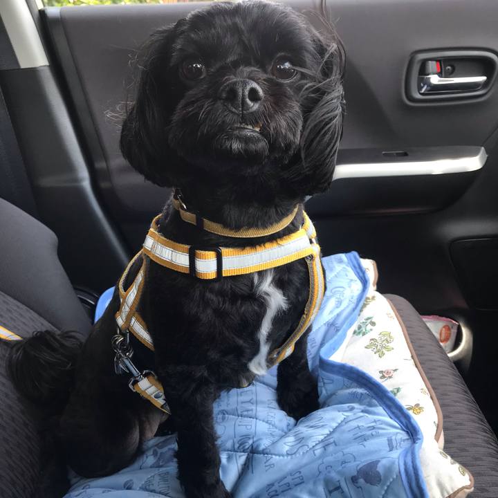 1323f5df 4fc4 4b69 abed 9530420ecf80 1559618941359