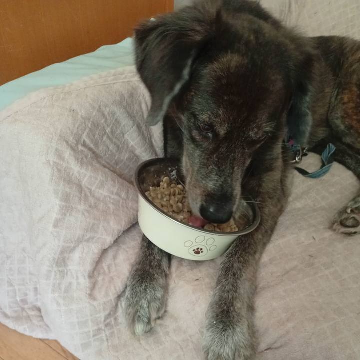 1323f75c 4e37 4fbc bf73 a5827663ff3f 1756477855950