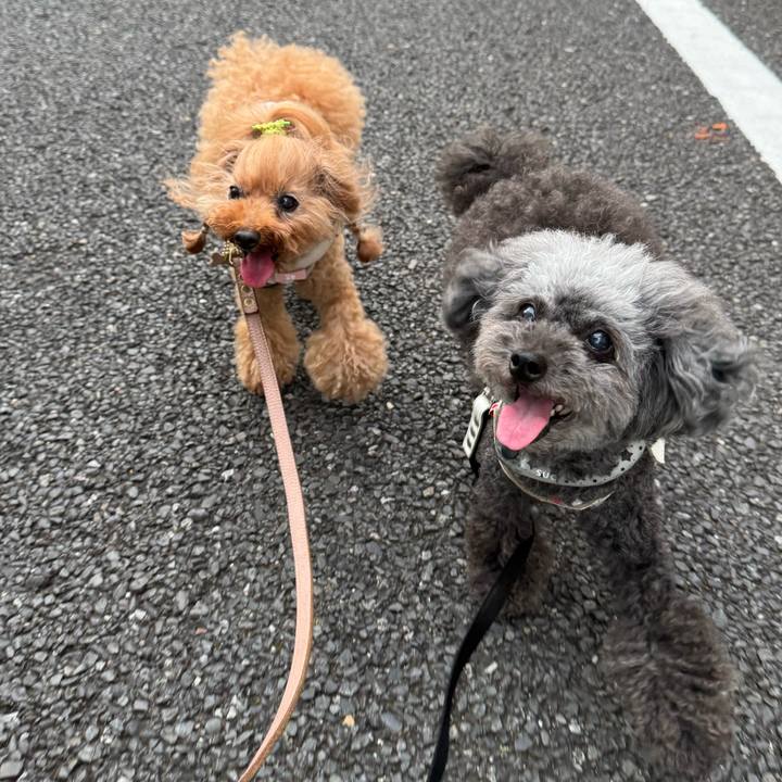 13246215 d232 4e71 bc19 096fc0704150 1754520736309