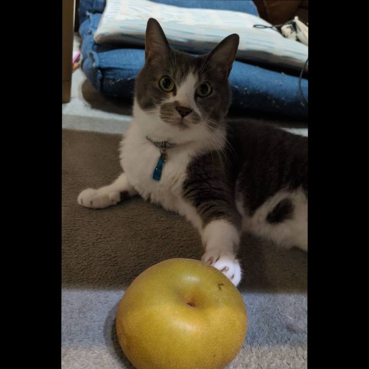 13248aa0 992d 4ac9 b0f1 f8cfdb229144 1756899752655