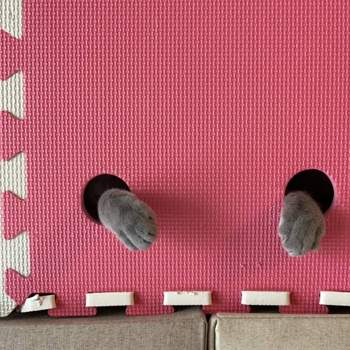 13249206 6e06 40db aba5 091811943ca9 1616756499313