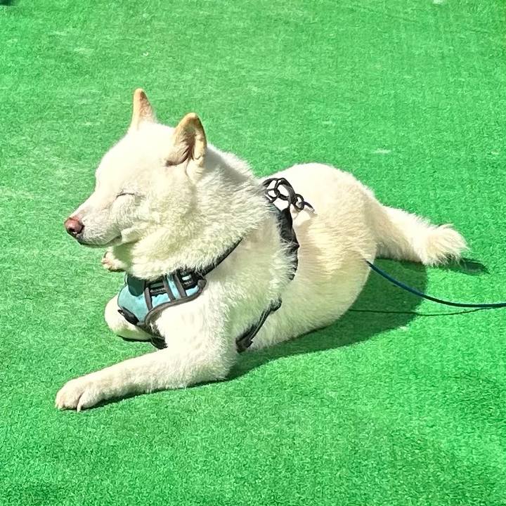 132495d3 f027 43b2 acef 8f65ff0604b8 1757712374567