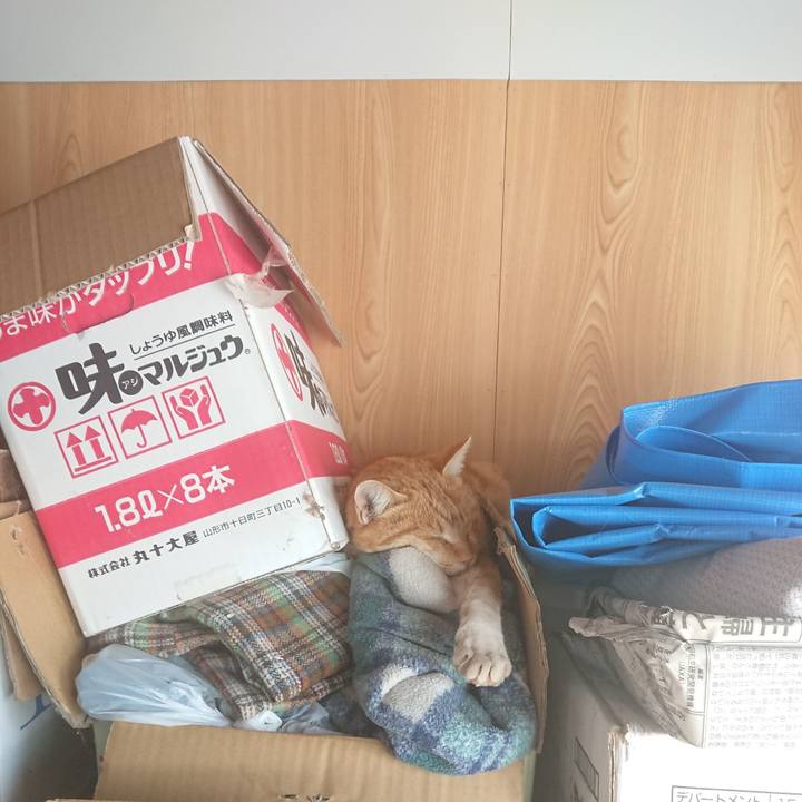 1324cc8d 5179 409f ac0b fc4b760d59b2 1583038922700