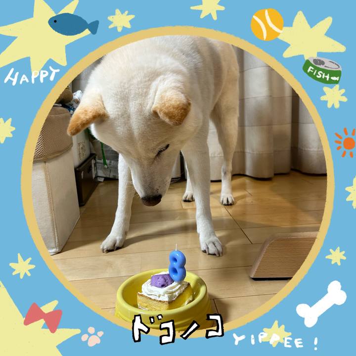 1324f0f4 49a4 44b5 91c0 ef2a47bfe09b 1721049202588