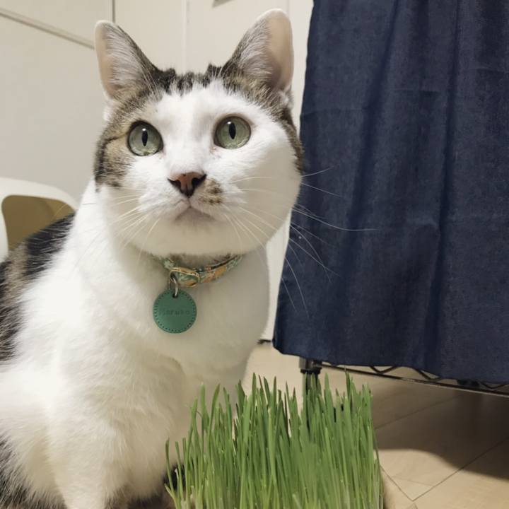 13255c03 0e75 4d6b 840e c2cc64037ce6 1538460804198