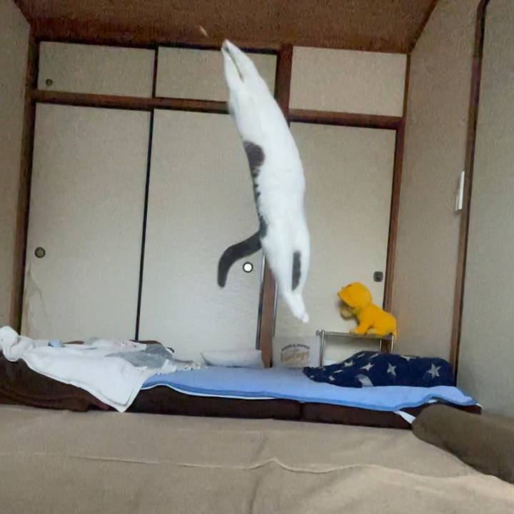 13258200 cbcc 4b60 8d26 fddc96722b9d 1684394407517