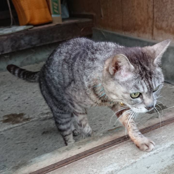 13258355 d841 4c63 a496 ca309792a1fc 1560936751946