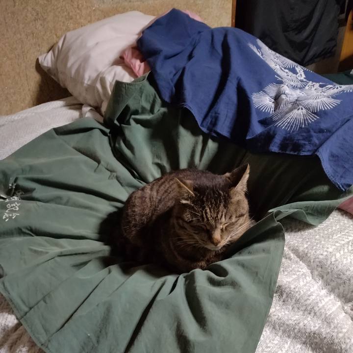 13259020 c29f 4814 8e92 fca8e8f47909 1680437930722