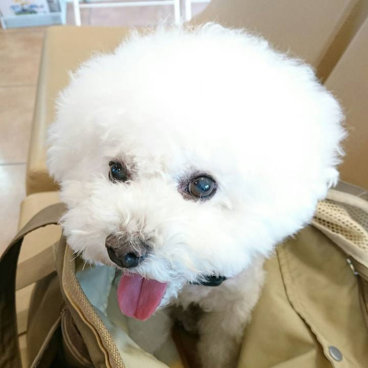 1325b367 6c90 4ec6 95aa 871620573598 1508935856386