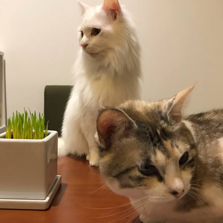 13261176 b0aa 472a 840c 91f5bbb672a7 1554868009304