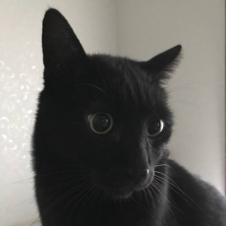 13261b36 3461 41cb bc8c f0a85b8b0cf8 1514599048451