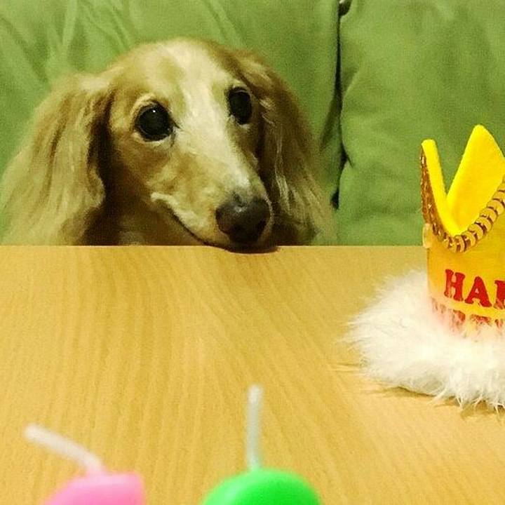 13267cfb c146 4cf1 bda3 c50b321e21dc 1591225743518