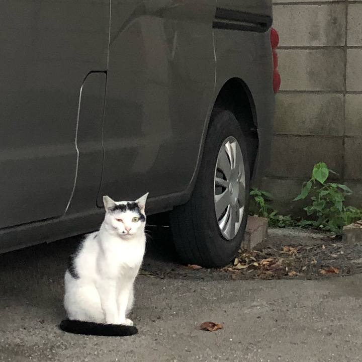 13269384 0d40 40e7 aa9e 6bb3ca363156 1536239052418