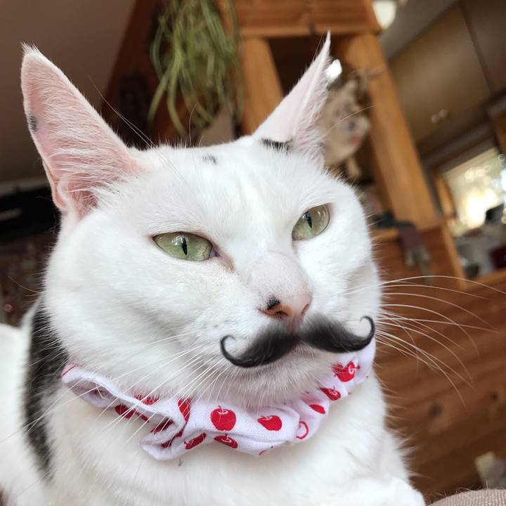 1326b6dc 3304 4f0b 96dc 894621abbdc3 1565950627343