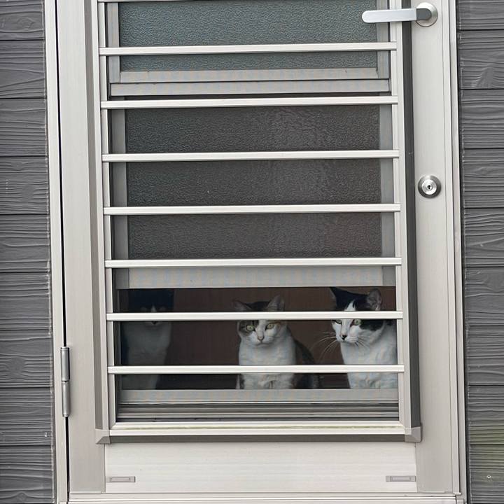 1326bcec 2fe1 484d 96d7 3e22de9ae4c3 1685890532480