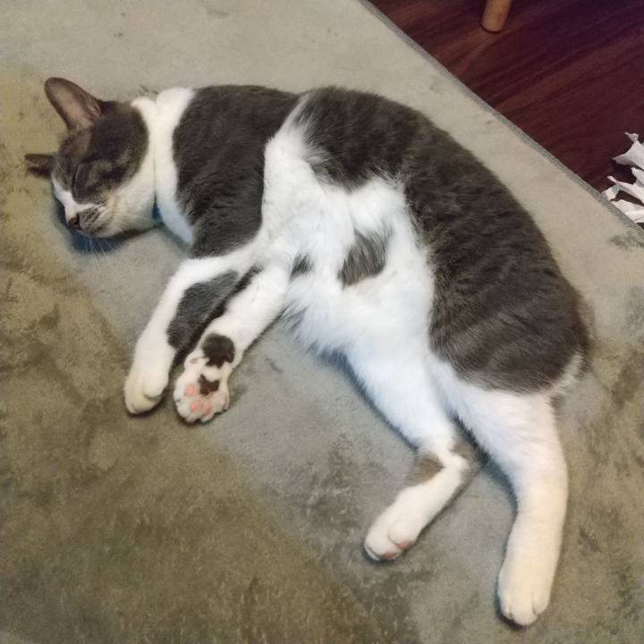 1326ed38 35ad 4b0d 9bdf cf010361353f 1650896700951