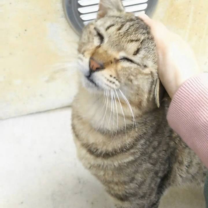 1326f6bf a899 4289 9a47 1247bc74dc9e 1521620465136