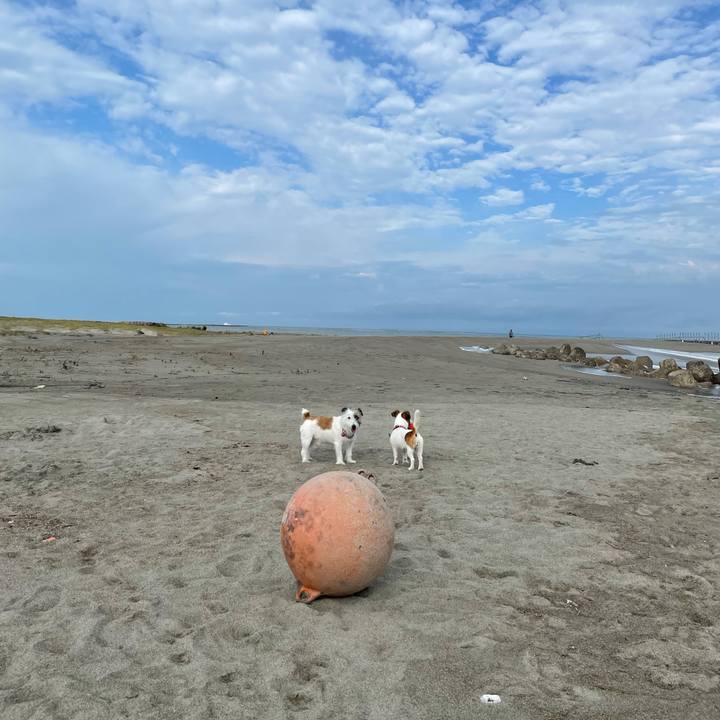 132711f0 db17 4ba2 9717 34b43dc3ad87 1628725444692