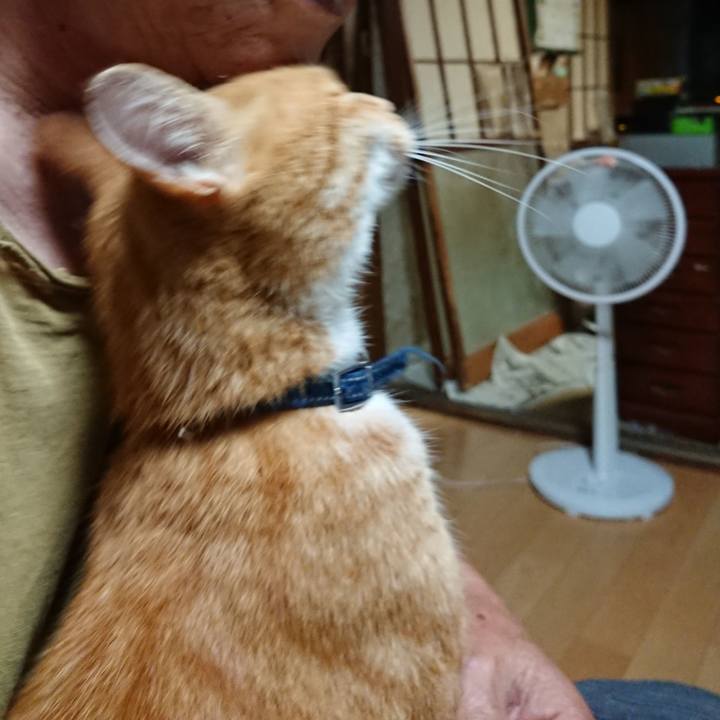 132725e2 ab89 4551 b034 a8724c3e2545 1598558302772