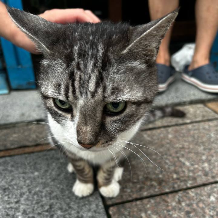 13273427 161c 4d36 8973 61001725512b 1759565833329