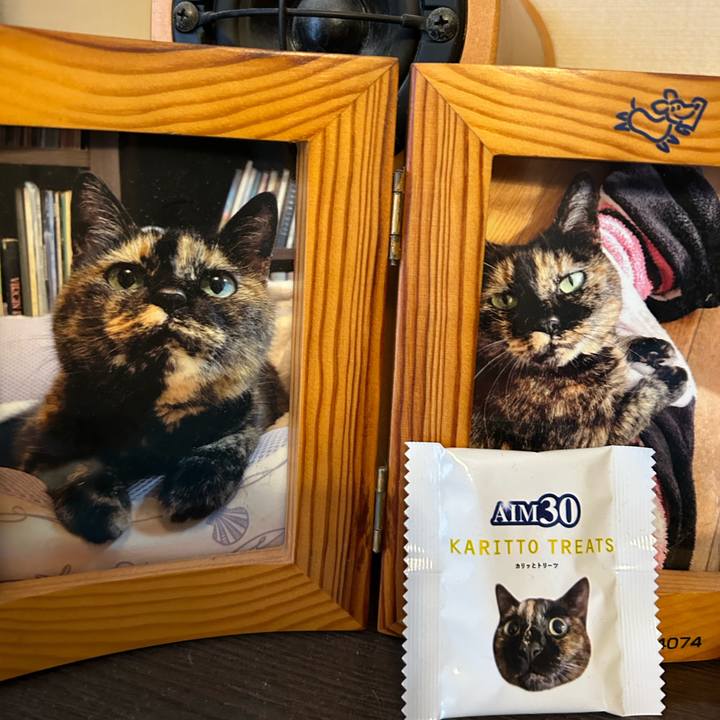 13273668 1f3d 4e57 8c5a 8ae1077c187b 1710712086297