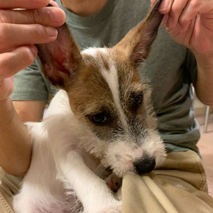 13275bf3 cfb4 4eb4 a0e2 dbe54bf13ba6 1562768599022