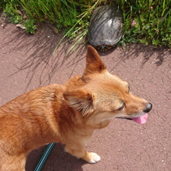 13276fd6 9419 4d28 b1ea 6c6c4c2f0764 1557019762050