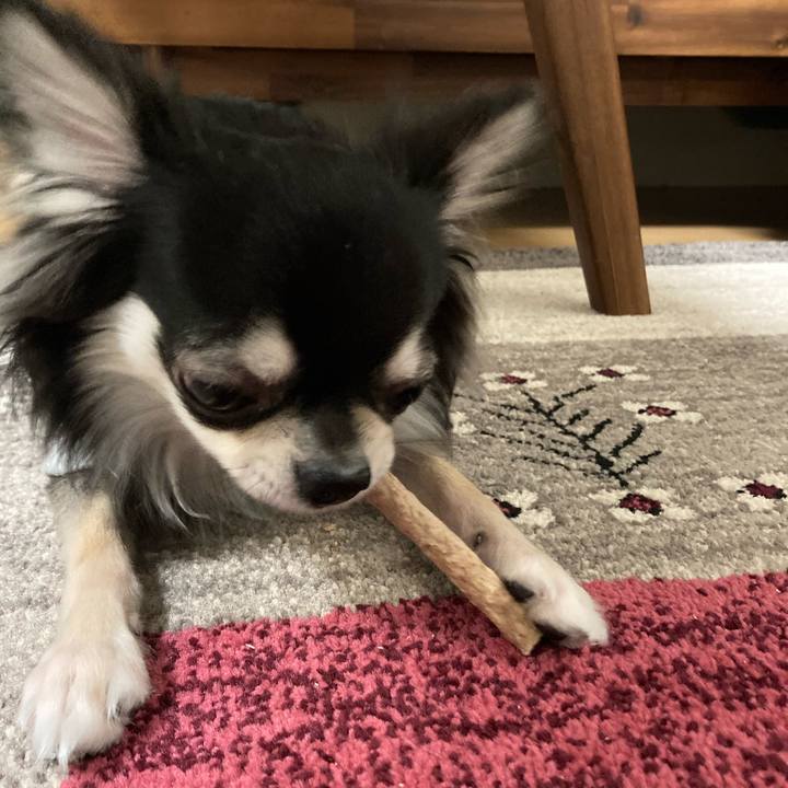 132777ed 9804 4adc bda6 3de467055652 1612096743034