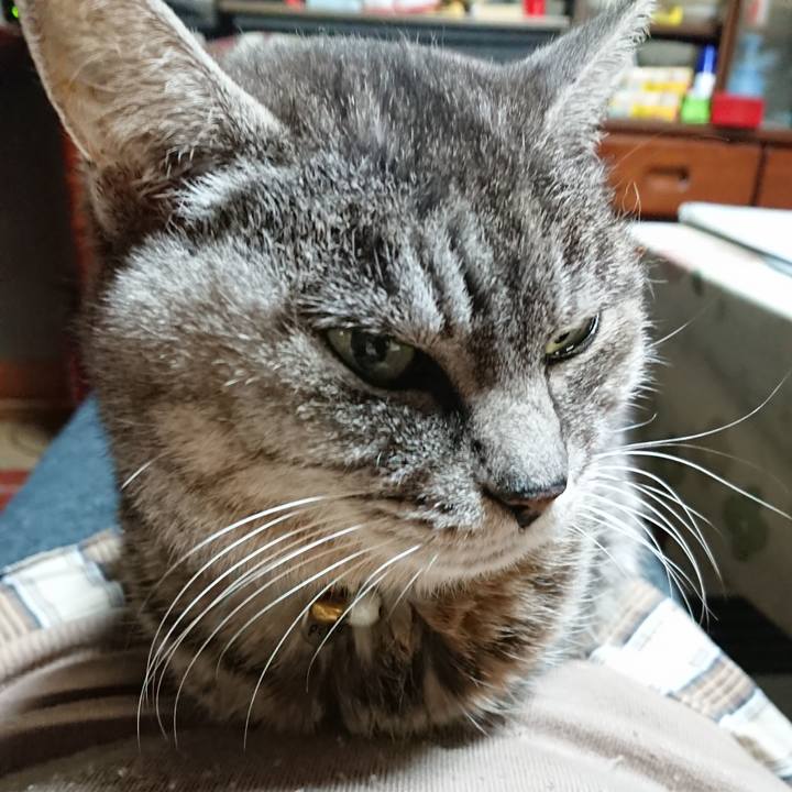 1327808a 9684 4d94 b469 4e3cbf56eb98 1577271608970