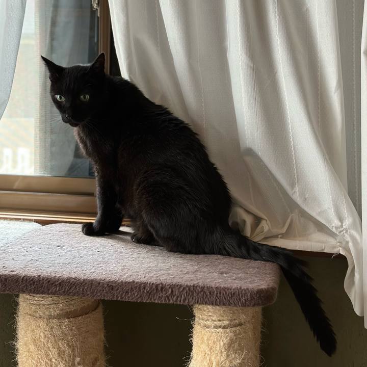 1327945c 4b90 4ceb 9c56 0c8ba6cf89dd 1690329322903